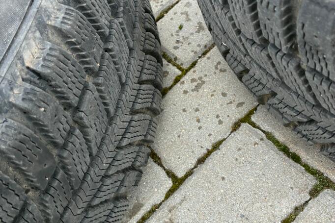 Audi, lietie