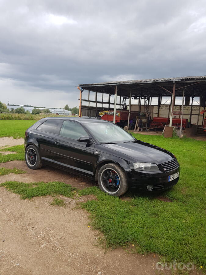 Audi A3 8P Hatchback 3-doors