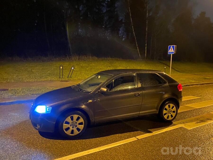 Audi A3 8P Hatchback 3-doors