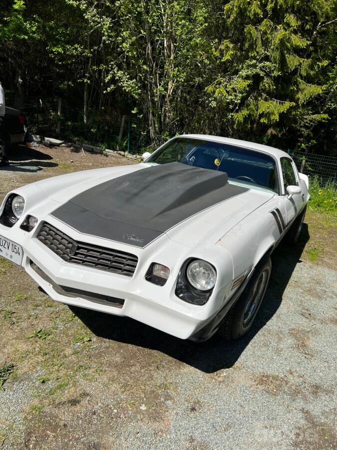 Chevrolet Camaro 2 generation [restyling] Coupe 2-doors