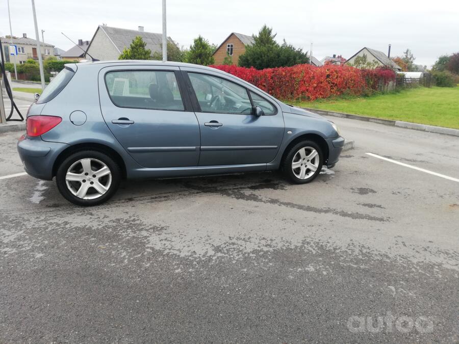 Peugeot 307 1 generation Hatchback 5-doors