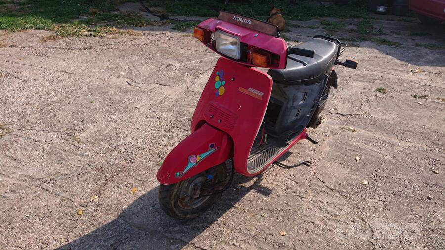 Honda NX