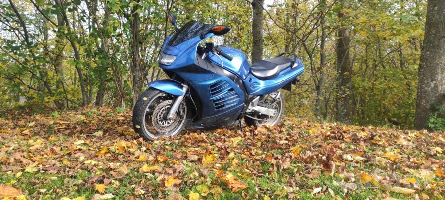 Suzuki RF