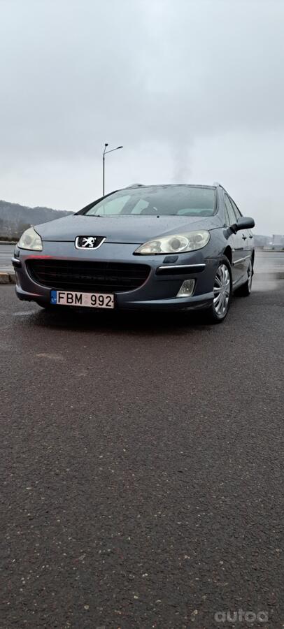 Peugeot 407 1 generation wagon