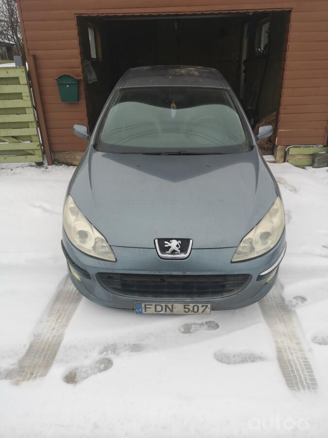 Peugeot 407 1 generation Sedan