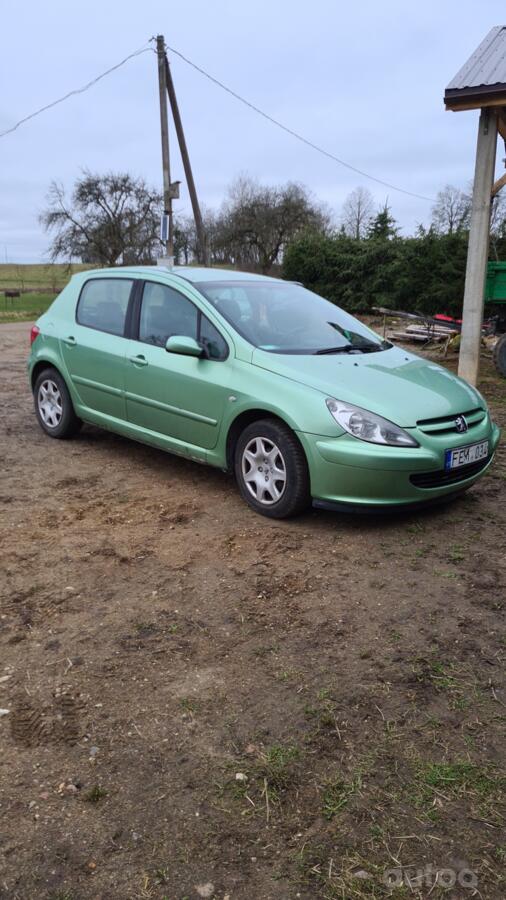 Peugeot 307 1 generation Hatchback 5-doors