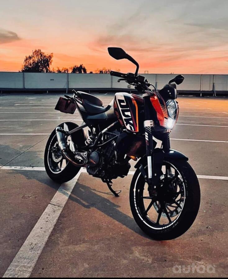 KTM Duke
