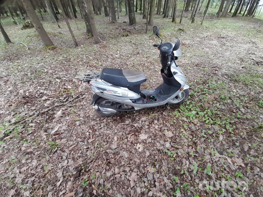 Qingqi QMG0GY
