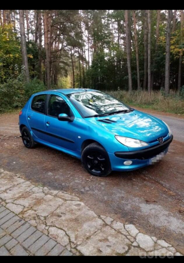 Peugeot 206 1 generation Hatchback 5-doors