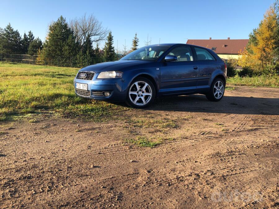 Audi A3 8P Hatchback 3-doors