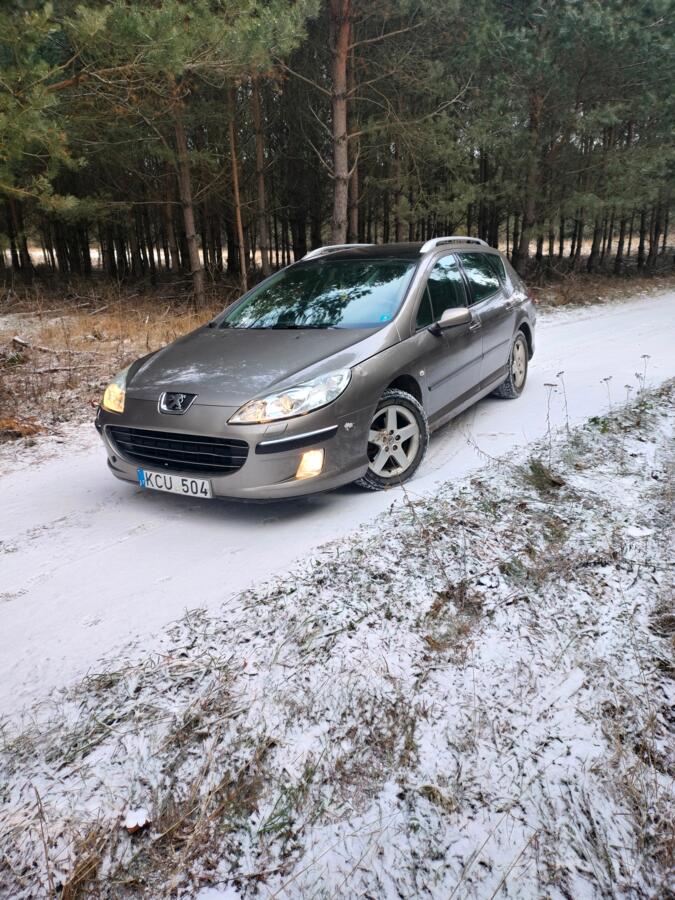 Peugeot 407 1 generation wagon