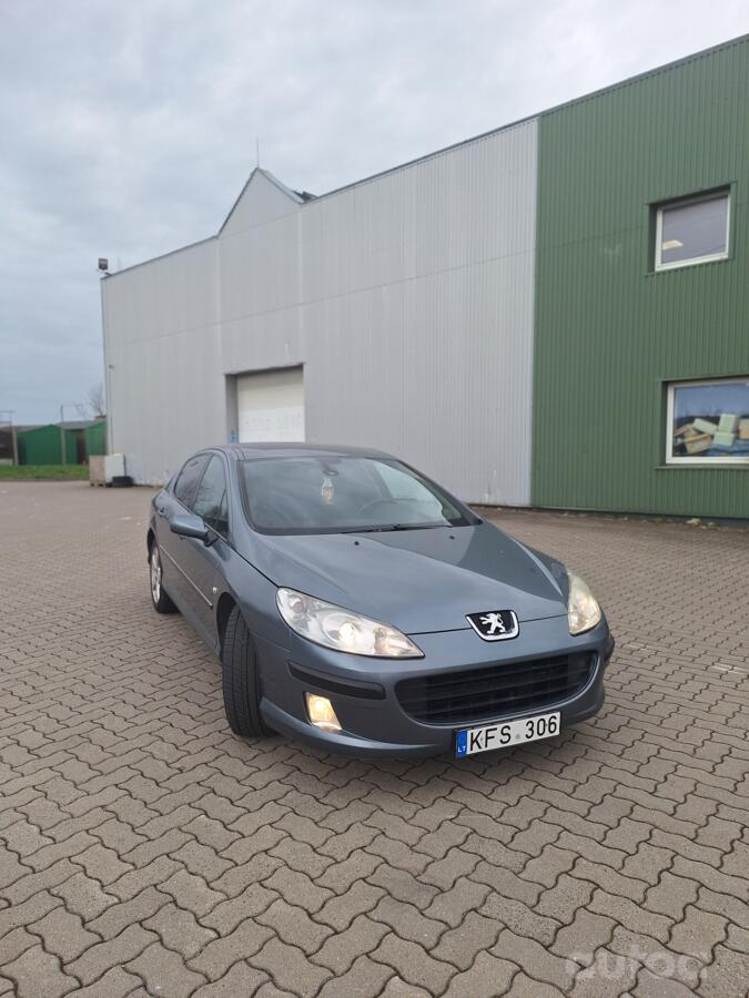 Peugeot 407 1 generation Sedan