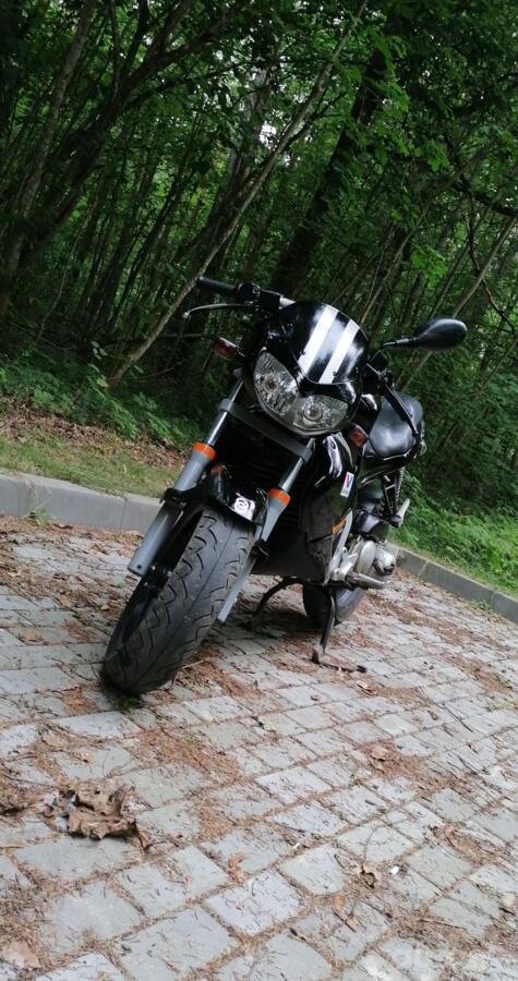 Gilera DNA