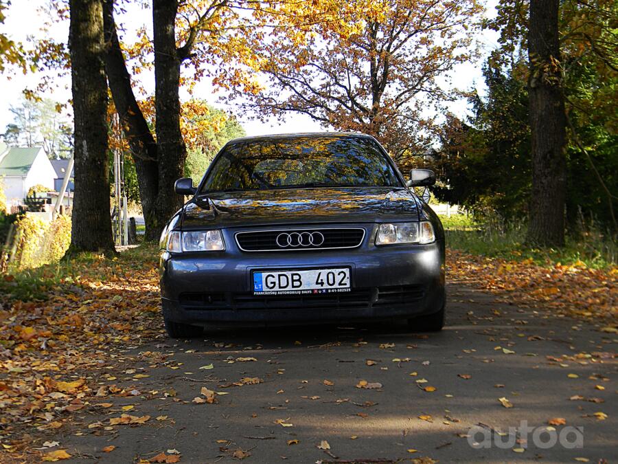 Audi A3 8L Hatchback 5-doors