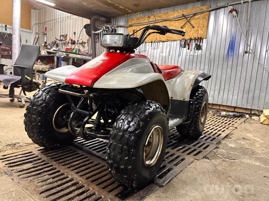 Yamaha Warrior