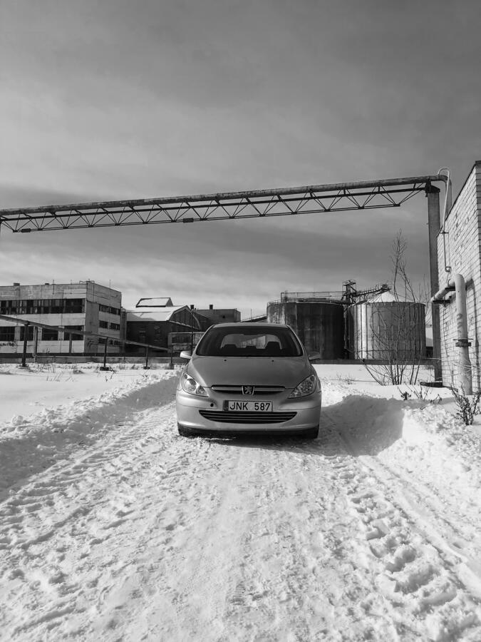 Peugeot 307 1 generation Hatchback 5-doors