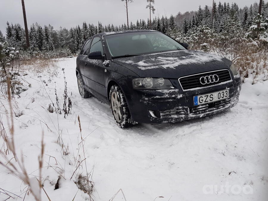 Audi A3 8P Hatchback 3-doors