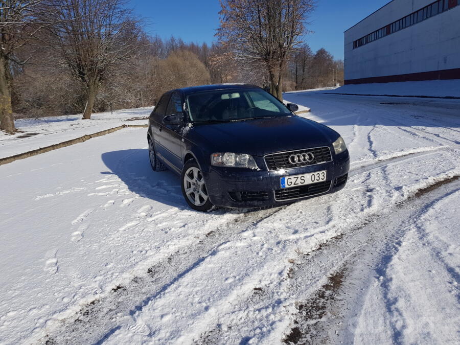 Audi A3 8P Hatchback 3-doors