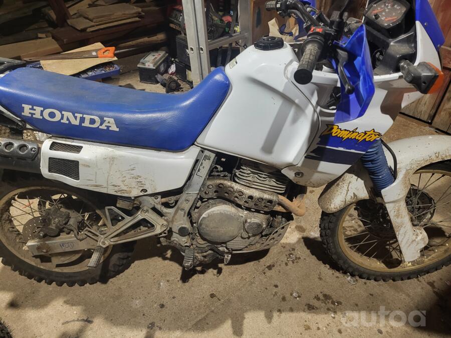 Honda NX