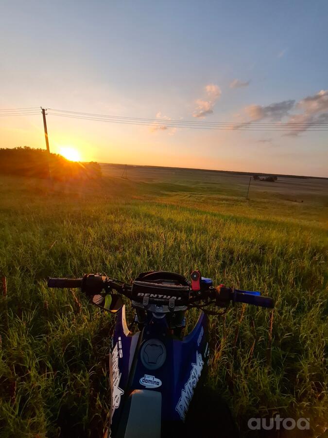 Yamaha WR