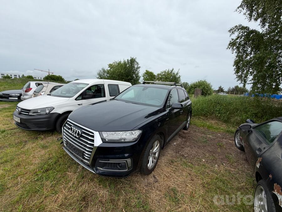 Audi Q7 4M Crossover