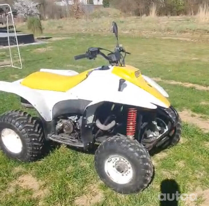 Polaris Trail Blazer