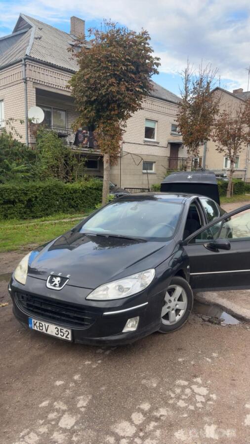Peugeot 407 1 generation Sedan