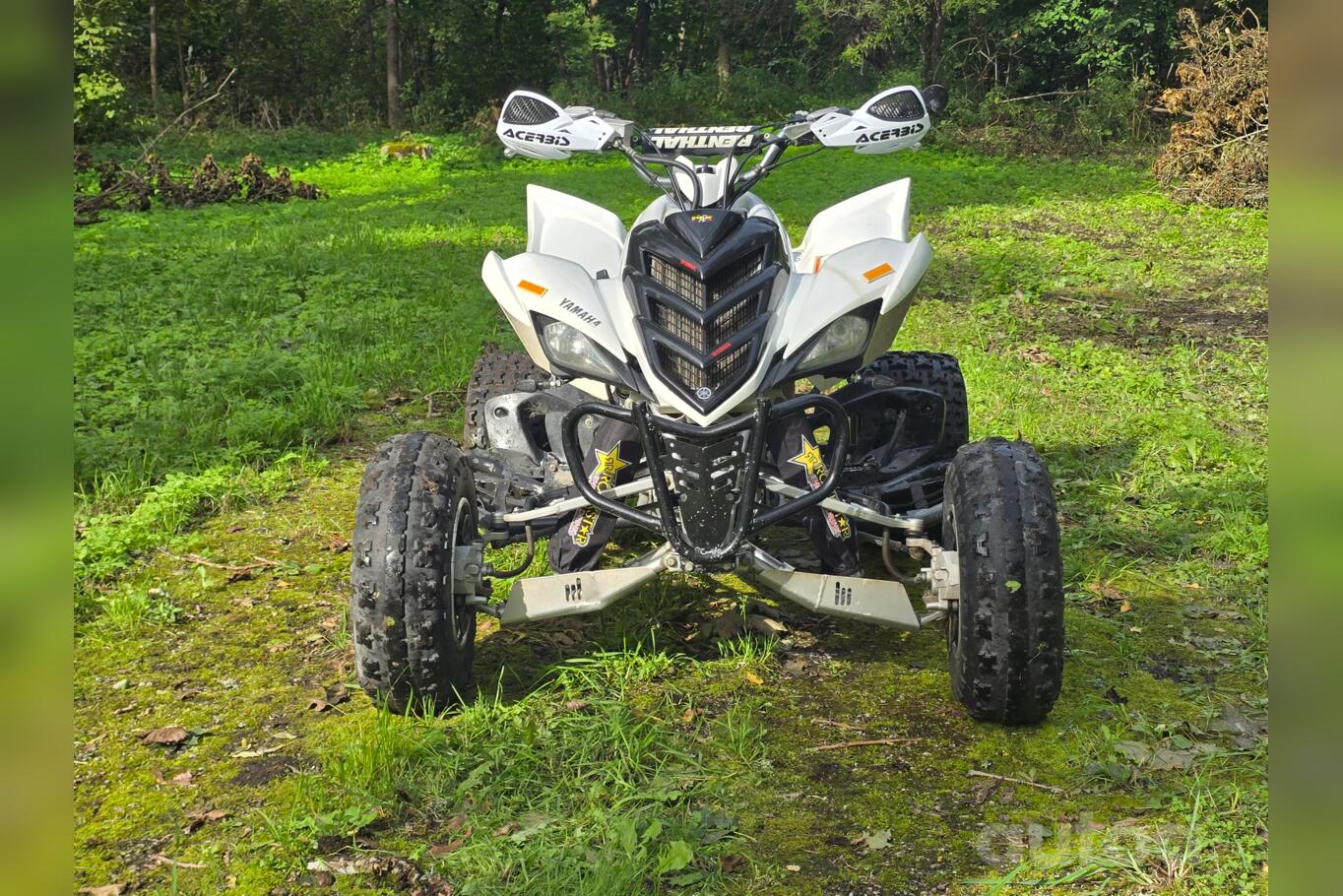 Yamaha Raptor