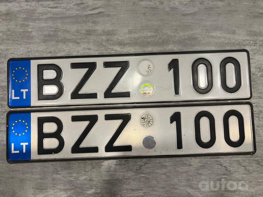 BZZ100