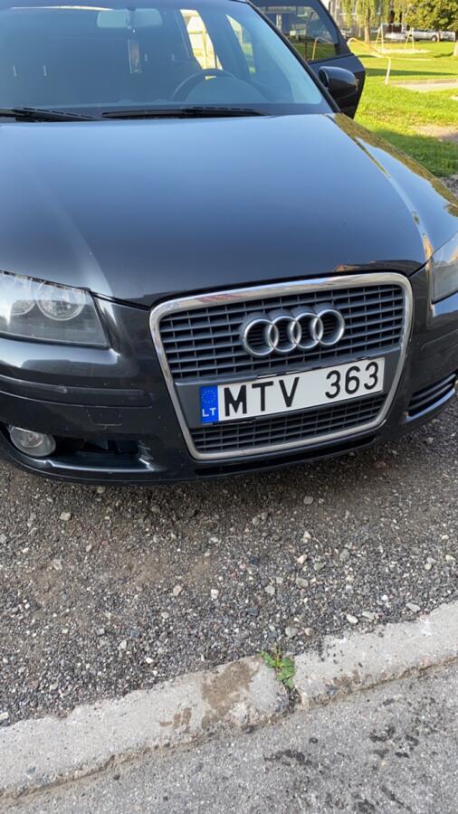 MTV363