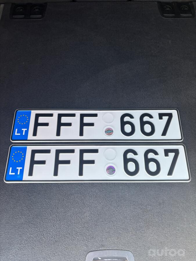 FFF667