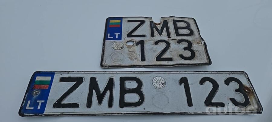 ZMB123