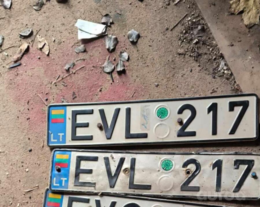 EVL217