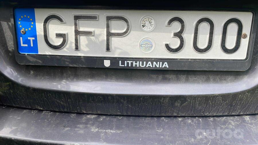GFP300