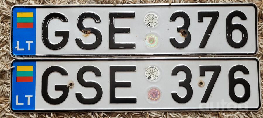 GSE376
