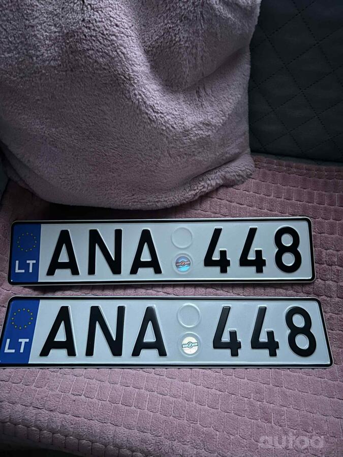 ANA448
