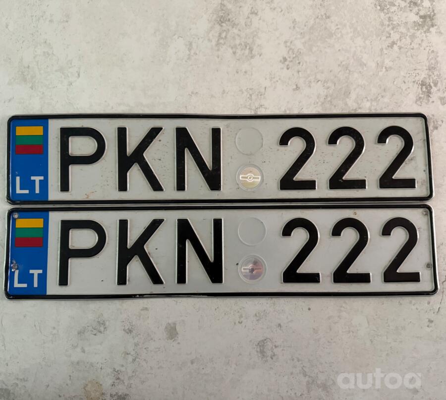 PKN222
