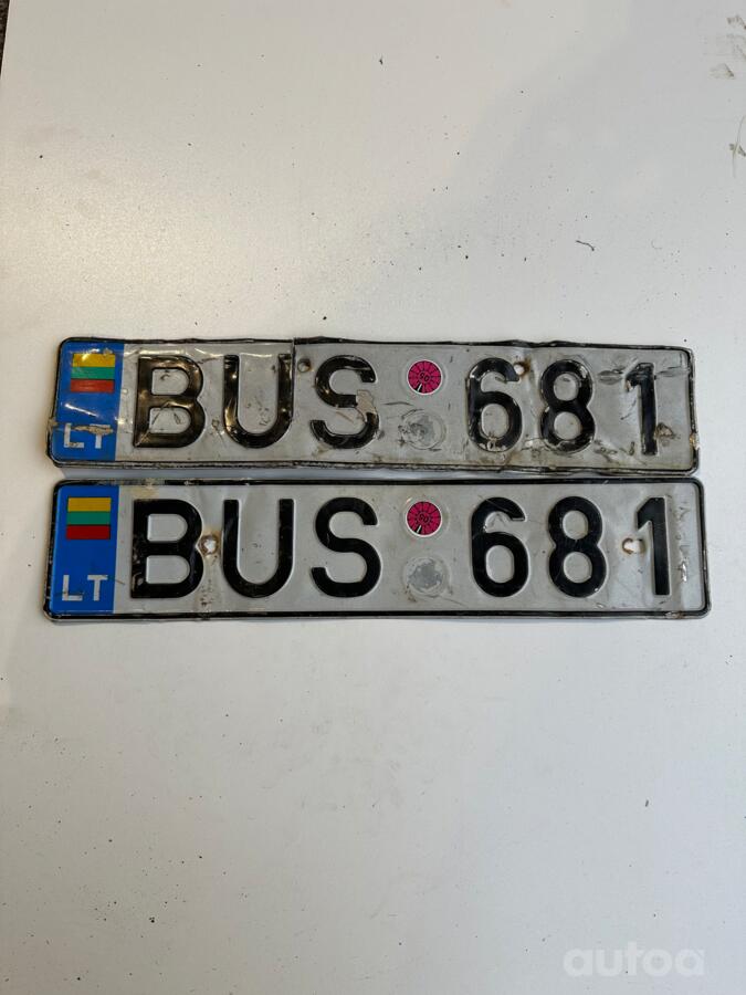 BUS681