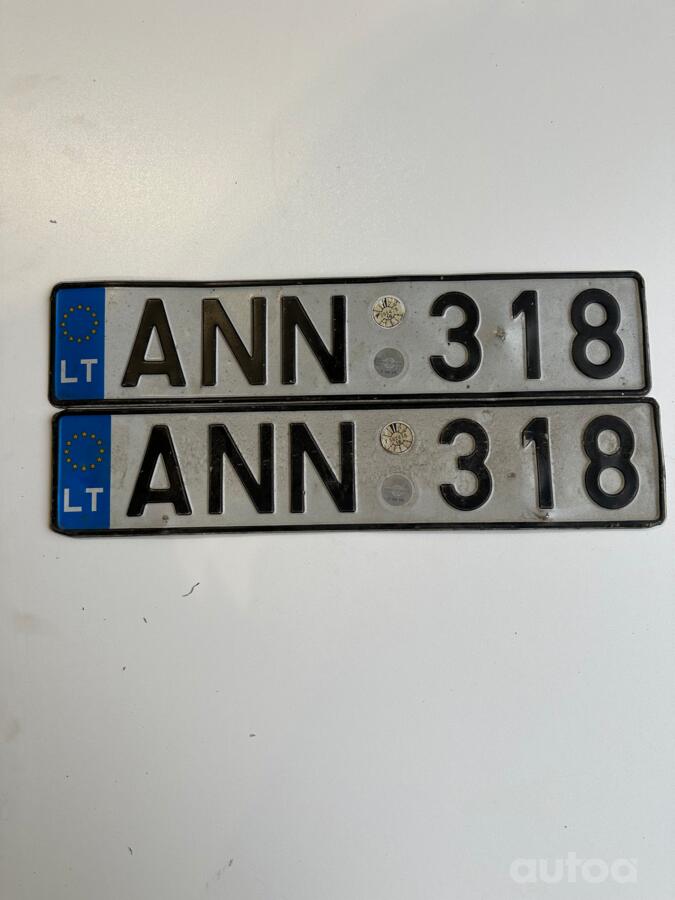 ANN318