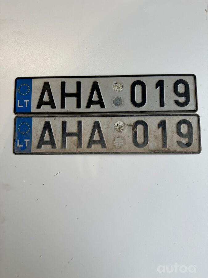 AHA019