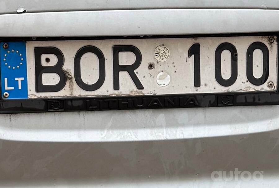 BOR100