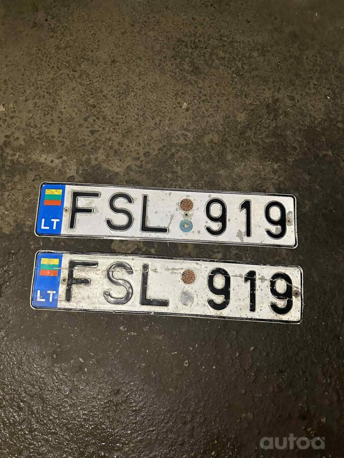 FSL919