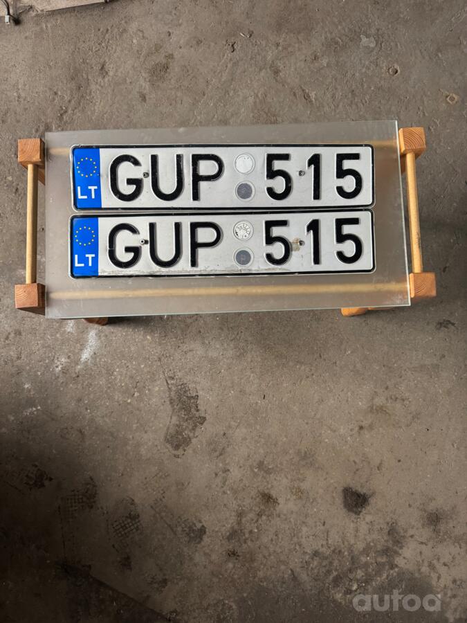 GUP 515