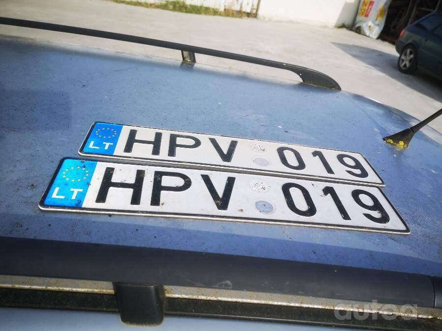 HPV019