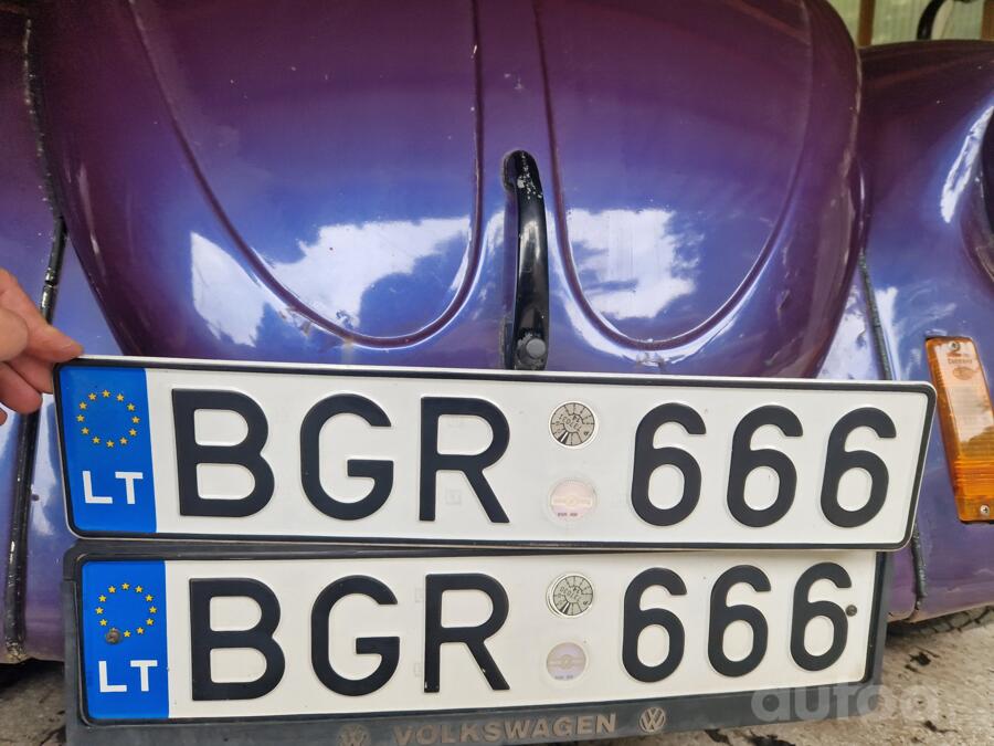 BGR666
