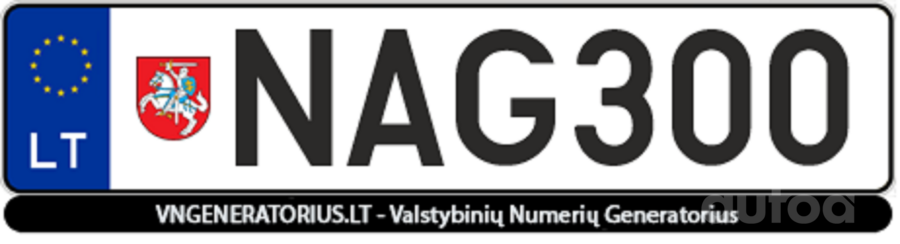 NAG300