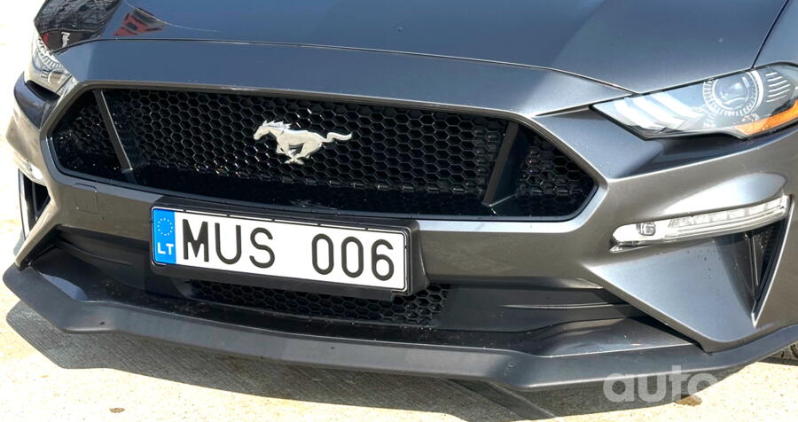 MUS 006
