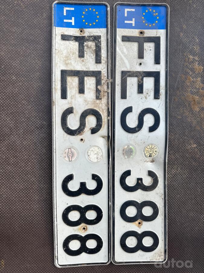 FES 388