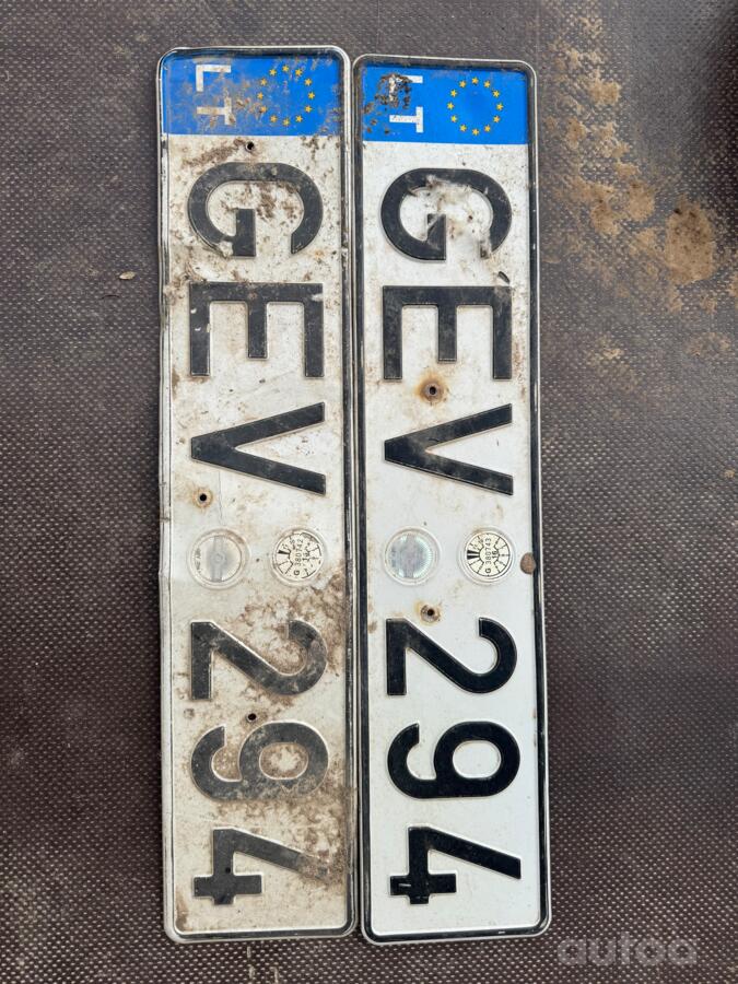 GEV 294