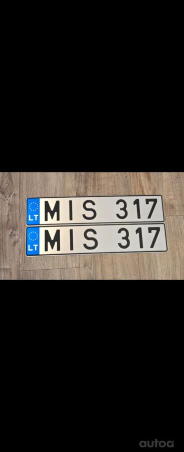 MIS317